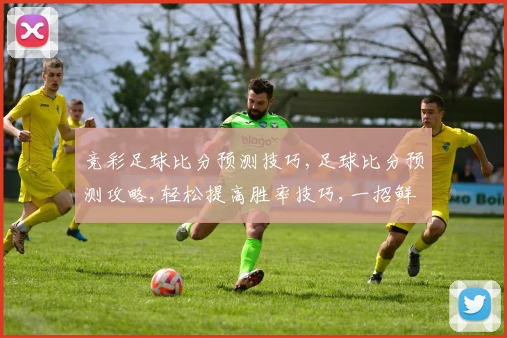 竞彩足球比分预测技巧,足球比分预测攻略,轻松提高胜率技巧,一招鲜吃遍天